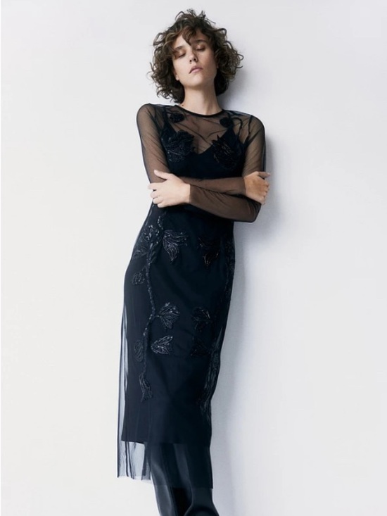 H&M Dresses & Skirts - H&M Sheer Embroidered Long Sleeve Black Dress